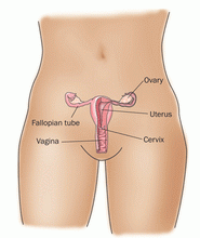 natural ovarian cyst relief secrets book