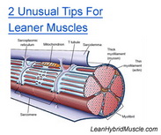 lean hybrid muscle reloaded program