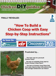 chicken diy guides review