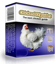 chicken diy guides