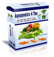 aquaponics 4 you